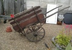 Drunk in charge of a push-cart