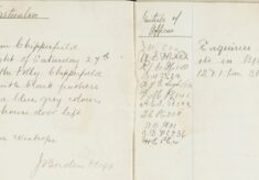 Fowls stolen from Chipperfield