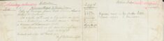 Woman killed by motor van at Lavender Hill. Copy of message from Metropolitan Police