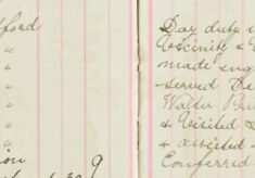 Made Enquiries Re Sheep Dipping Order; Served Detention Form 'D' Notice upon Mr Walter Prime regarding 10 Sheep on his premises