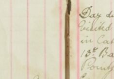 Visited Farms etc making enquiries re Ring-Worm in Cattle; apprehended William Drage Private 36954 13th Battalion Bedfordshire Regt