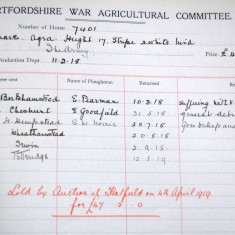Herts War Ag Horse Hire Horse Hire Scheme, 1918 | HALS Ref AEC/34