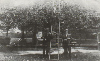 The Cherry Orchard c1925 with Harry Matthews, Jess Smith and another member of the Matthews family | Leverstock Green History