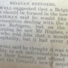 Belgian Refugee Committee proposal | Herts and Essex Observer Nov 1914