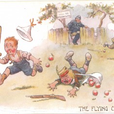 The flying corps