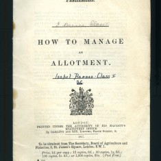 image allotment012 How to Manage an Allotment, 1917 | BSM 892