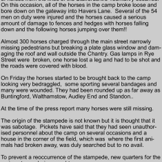 Stampeding horses