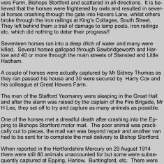 Stampeding horses