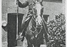 Mounted Section