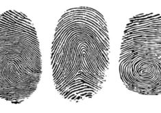 Fingerprints never let them down