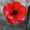 Hawthorne, Ernest Frederick James, 142, Police Constable.