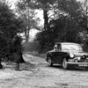 Austin A95 Area Cars