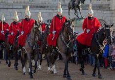 The Cavalry