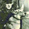 Police Dog Shot By Man He Tracked In A Wood.