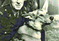 Police Dog Shot By Man He Tracked In A Wood.