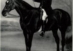 Notable Events In Week Thirtyfive