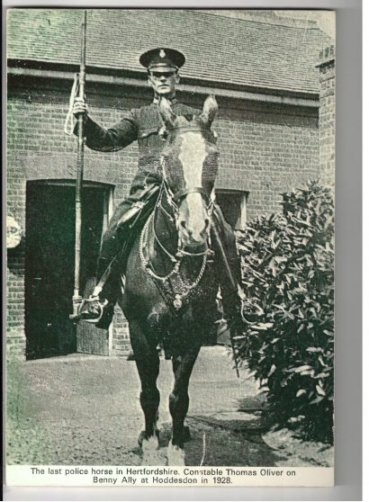 The last Hertfordshire Police Horse 1928