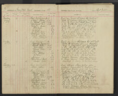 Pages 009-009