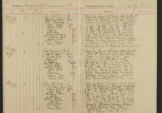 Pages 041-041