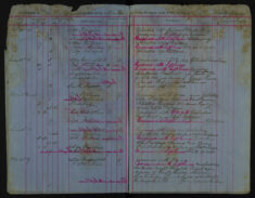 Pages 007-007