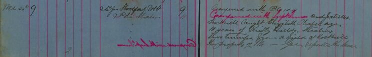 Theft of turnips by child