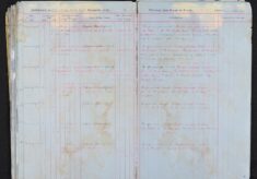 Pages 081-081