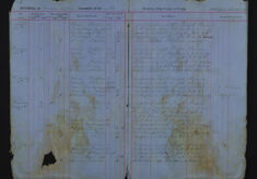Pages 006-006
