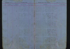 Pages 029-029