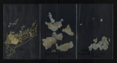 Pages 059 - Fragments