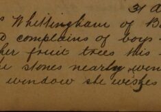 Complaint of Boys Throwing Stones
