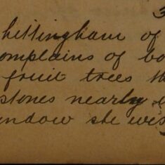 Complaint of Boys Throwing Stones