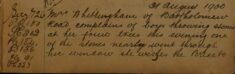 Complaint of Boys Throwing Stones