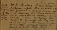 Report of Bull Dog Worrying Cows