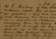 Report of Bull Dog Worrying Cows