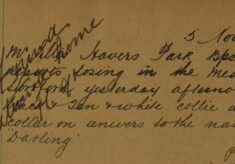 Answers to the Name of "Darling" - Lost Collie Dog