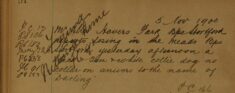 Answers to the Name of "Darling" - Lost Collie Dog