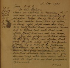 Hired Horse and Cart Not Returned