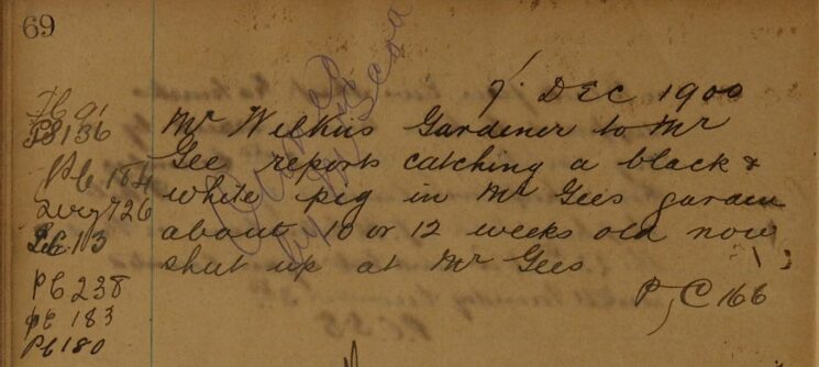 Report of a Pig in Mr Lee's Garden