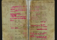 Pages 042-042