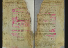 Pages 081-081