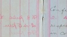 Enquiries into Suspected Theft of Pony & Cart from Cambridge