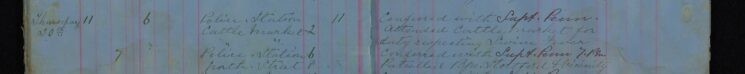 Attended cattle market for duty regarding Swine Fever