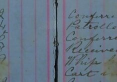 Received information that a whip had been stolen from a cart