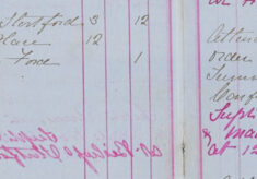 Summons taken out against Edward Silvester
