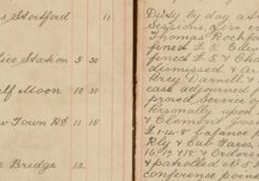 Attended Petty Sessions and Gave Evidence Against Thomas Rochford, Edward Turner, Charles Wilson, Arthur Chapman, Percy Darnell, Arthur Piper; and Proved Service of Summons on Walter J. Harris and Clement Joselyne