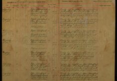 Pages 009-009