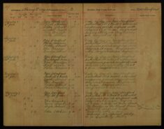 Pages 011-011