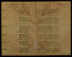 Pages 019-019