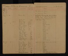 Pages 025-025