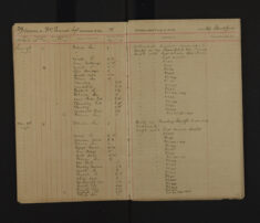 Pages 029-029